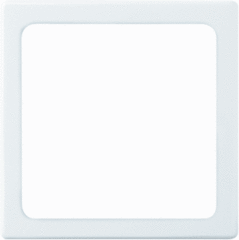 Busch Jaeger 2CKA001731A1923 - inzetplaat infolicht 2062u studio wit