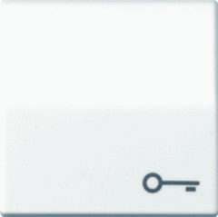 Jung AS591TWW - wipplaat met symbool sleutel alpine wit as500