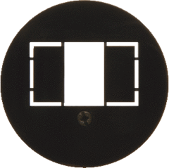 Berker 104001 - afdekplaat tae-wcd zwart 1930gp