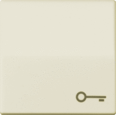 Jung AS591T - wipplaat met symbool sleutel creme wit as500