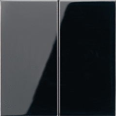 Jung LS1565.07SW - taster dimmerplaat serie zwart ls990