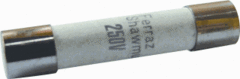 Eska 20.66.00.210 - keramisch 5x20 2,5a t doos 10 stuks