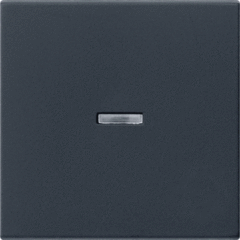 Gira 0290005 - wipplaat controle schakelaar zwart mat
