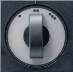 Gira 0665005 - inzetplaat + knop 3-standen zwart mat
