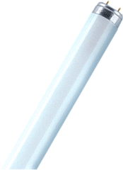Osram 4050300446066 - lumilux t8 l16840