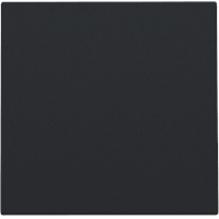 Niko 161-76901 - Blindplaat zonder draagring mat zwart