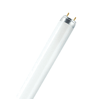 Osram FT018830/02 - 4050300517810 - lumilux® t8 18 w/830