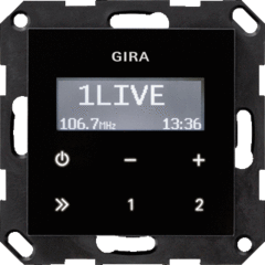 Gira 228405 - Systeem 55 radio schakelmateriaal